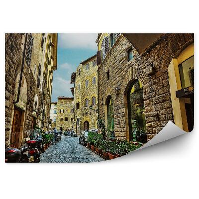 Fototapeta samoprzylepna Stare budownictwo kamienne zielona roślinność