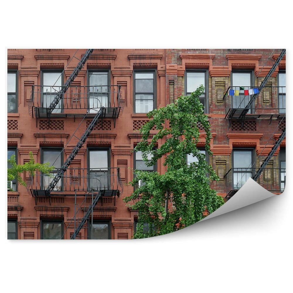 Fototapeta budynek apartament drzewa schody Nowy Jork