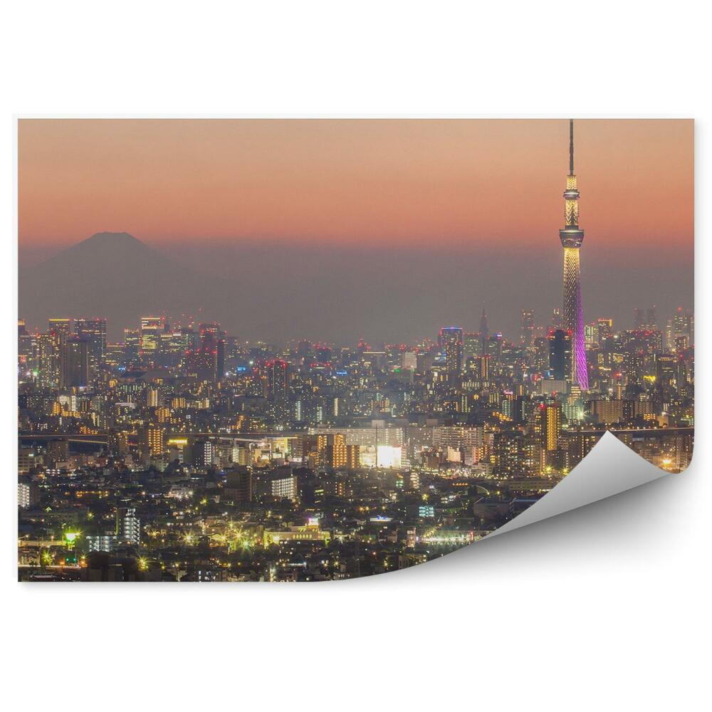 Okleina na ścianę widok z lotu ptaka noc Tokio Japonia światła