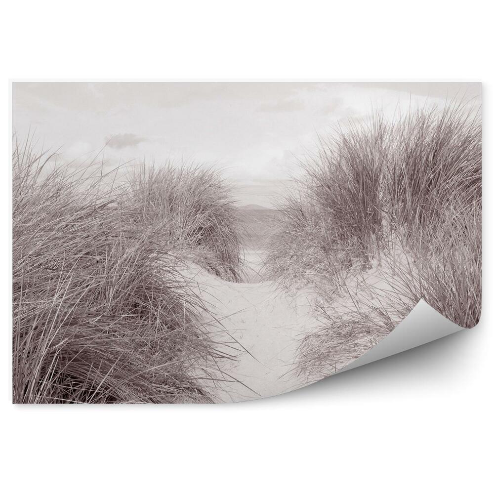 Okleina ścienna Dzikie trawy piasek plaża czarno-białe