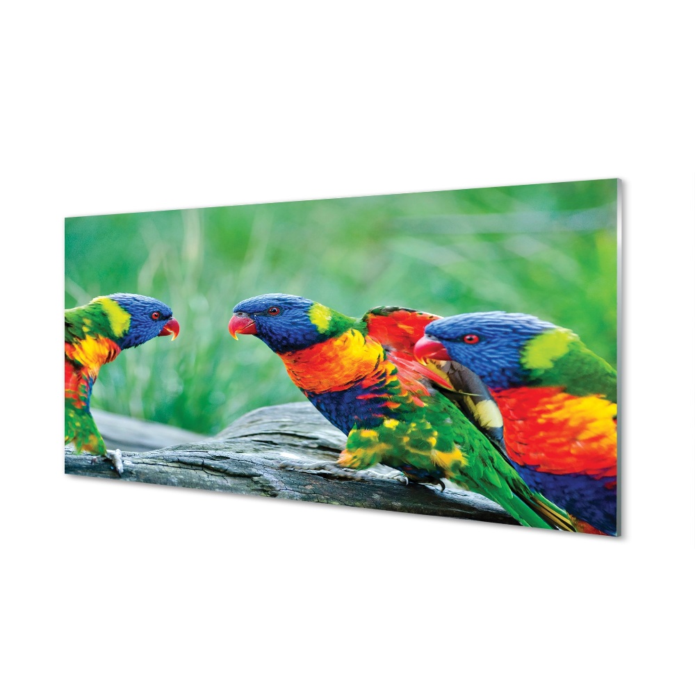 Obraz na szkle Kolorowe papugi dna pniu