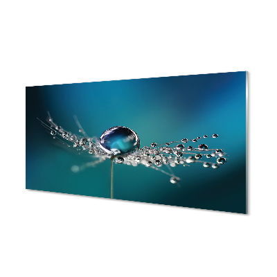 Obraz na szkle Krople dmuchawiec niebieskie tło