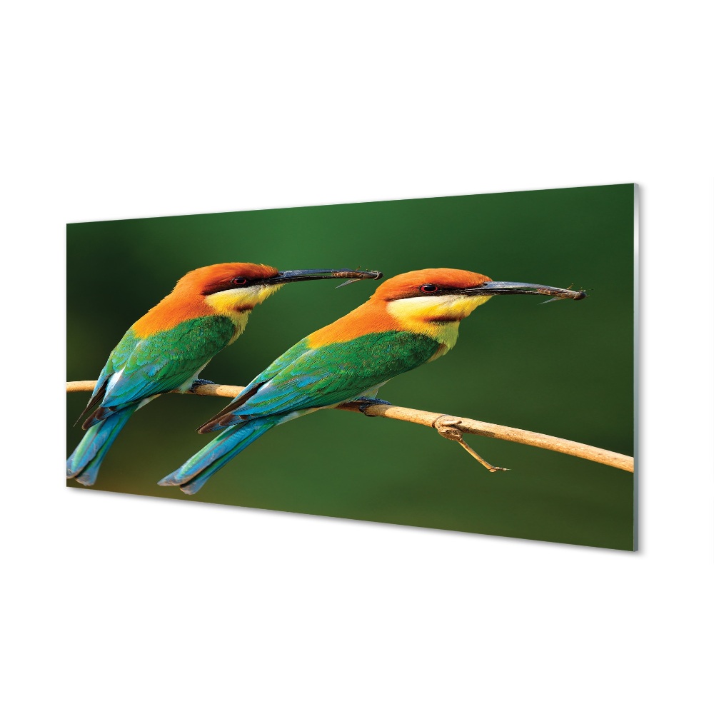 Obraz na szkle Dwie kolorowe papugi na gałęzi