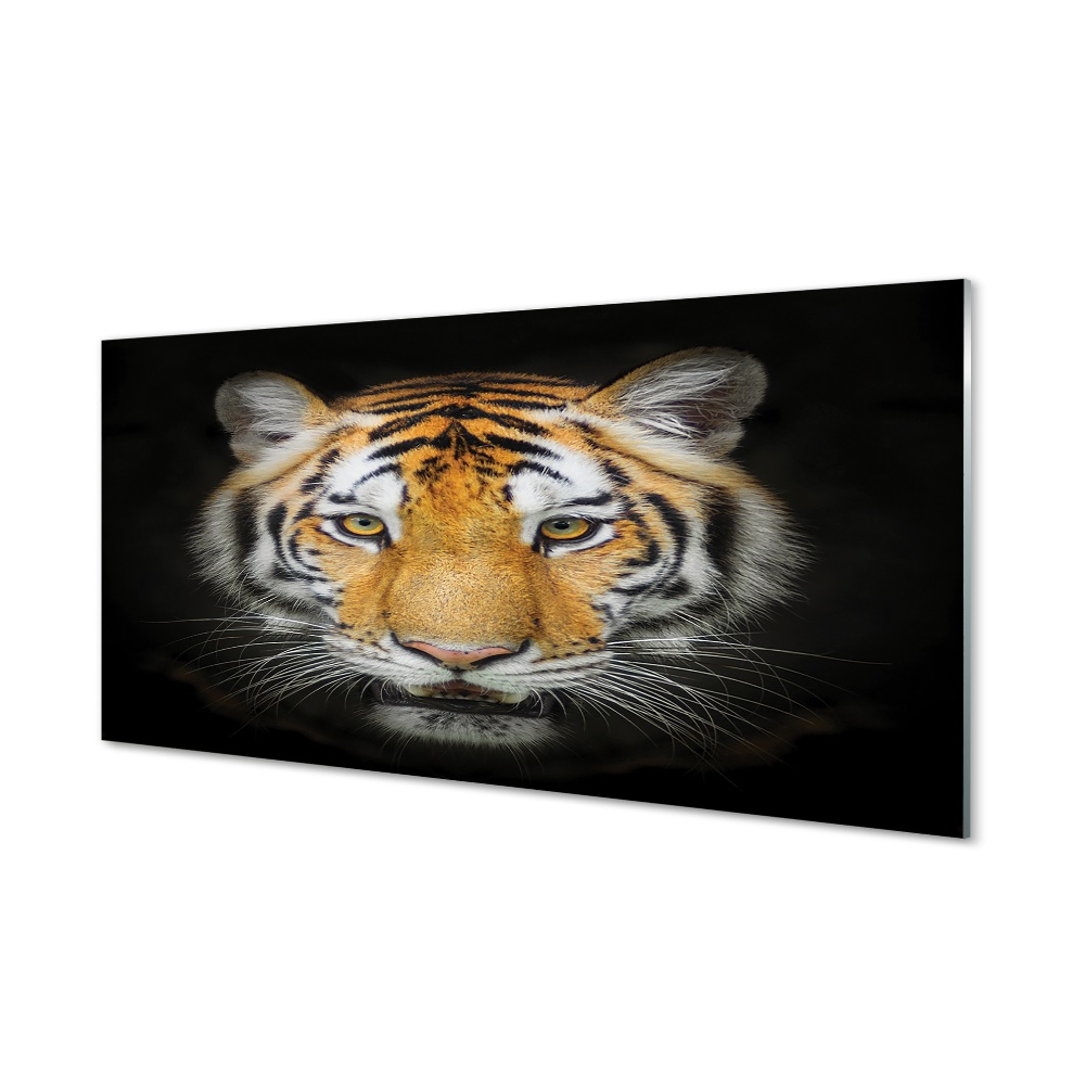 Obraz na szkle Tygrys na czarnym tle