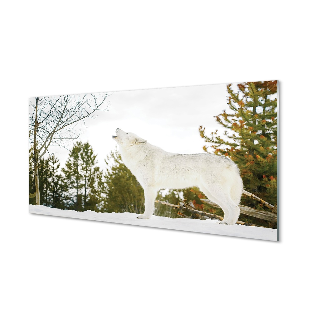 Obraz na szkle Biały wilk las zima