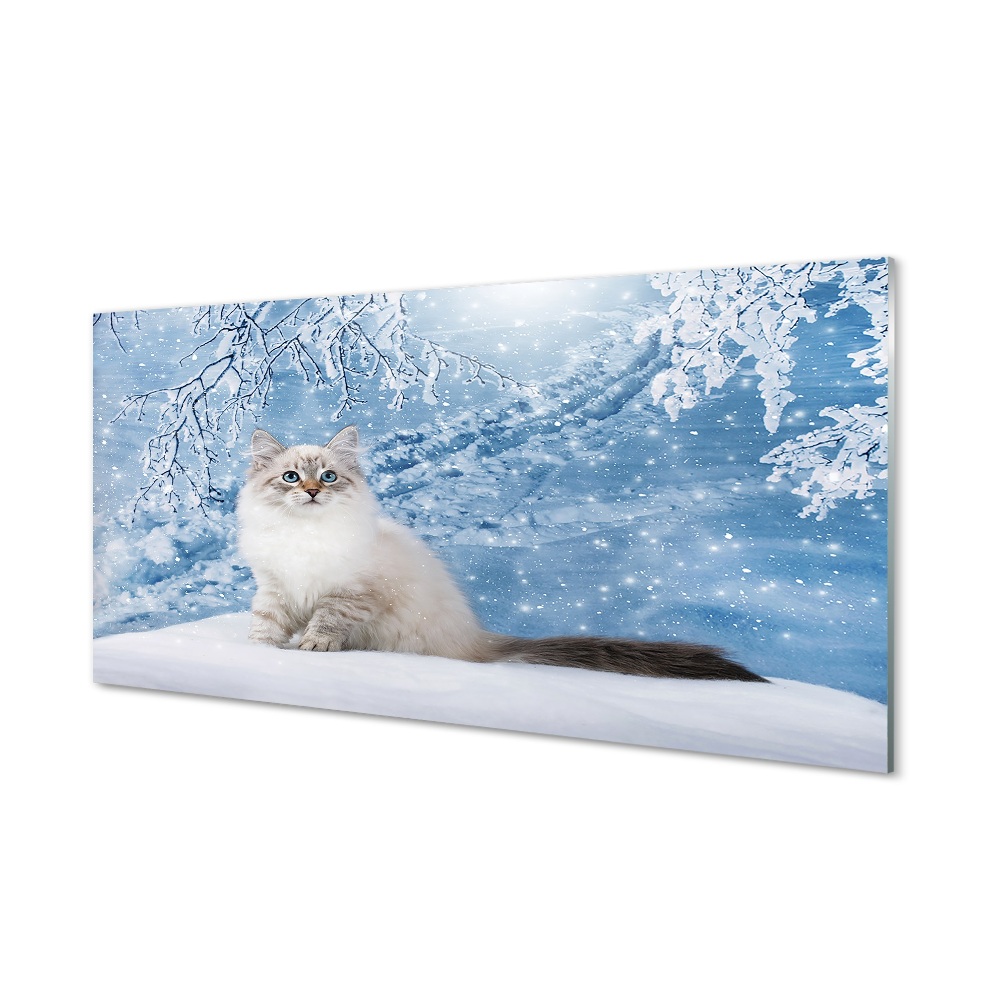 Obraz na szkle Kot zimowa sceneria