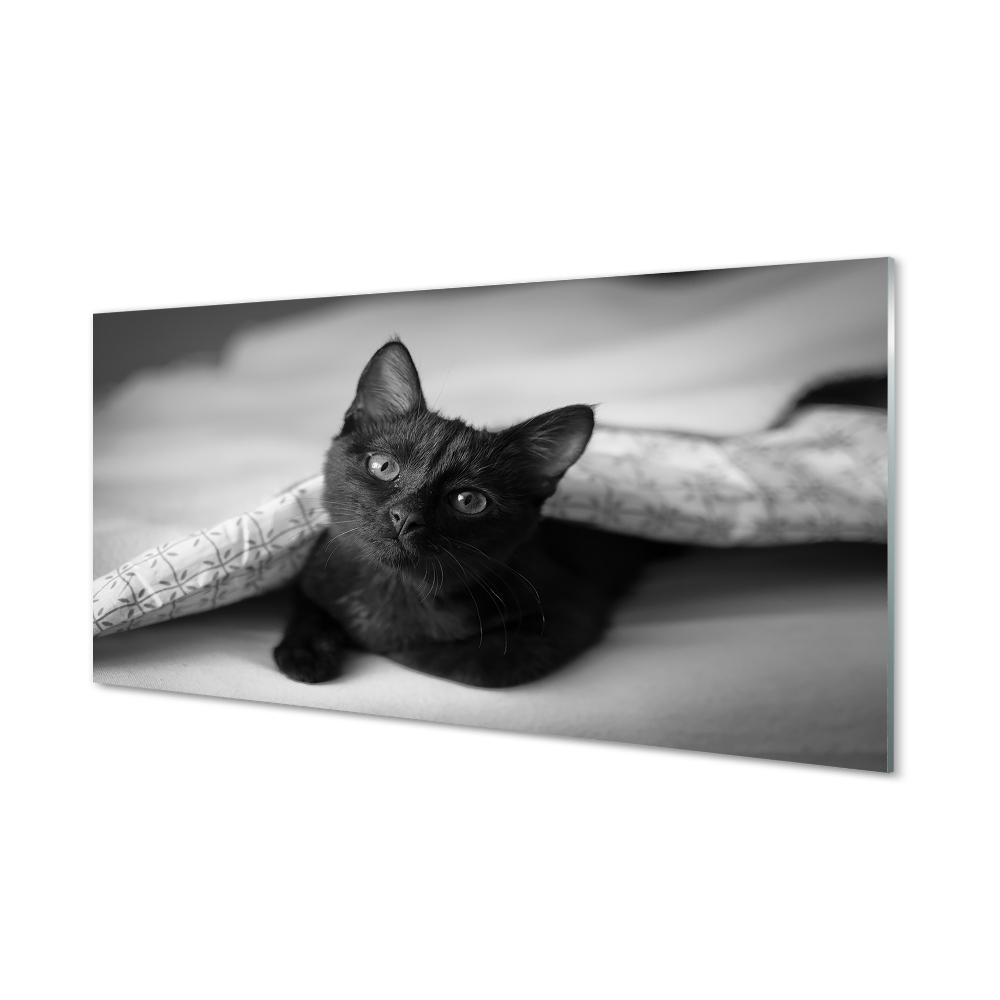 Obraz na szkle Czarny kot pod kołdrą