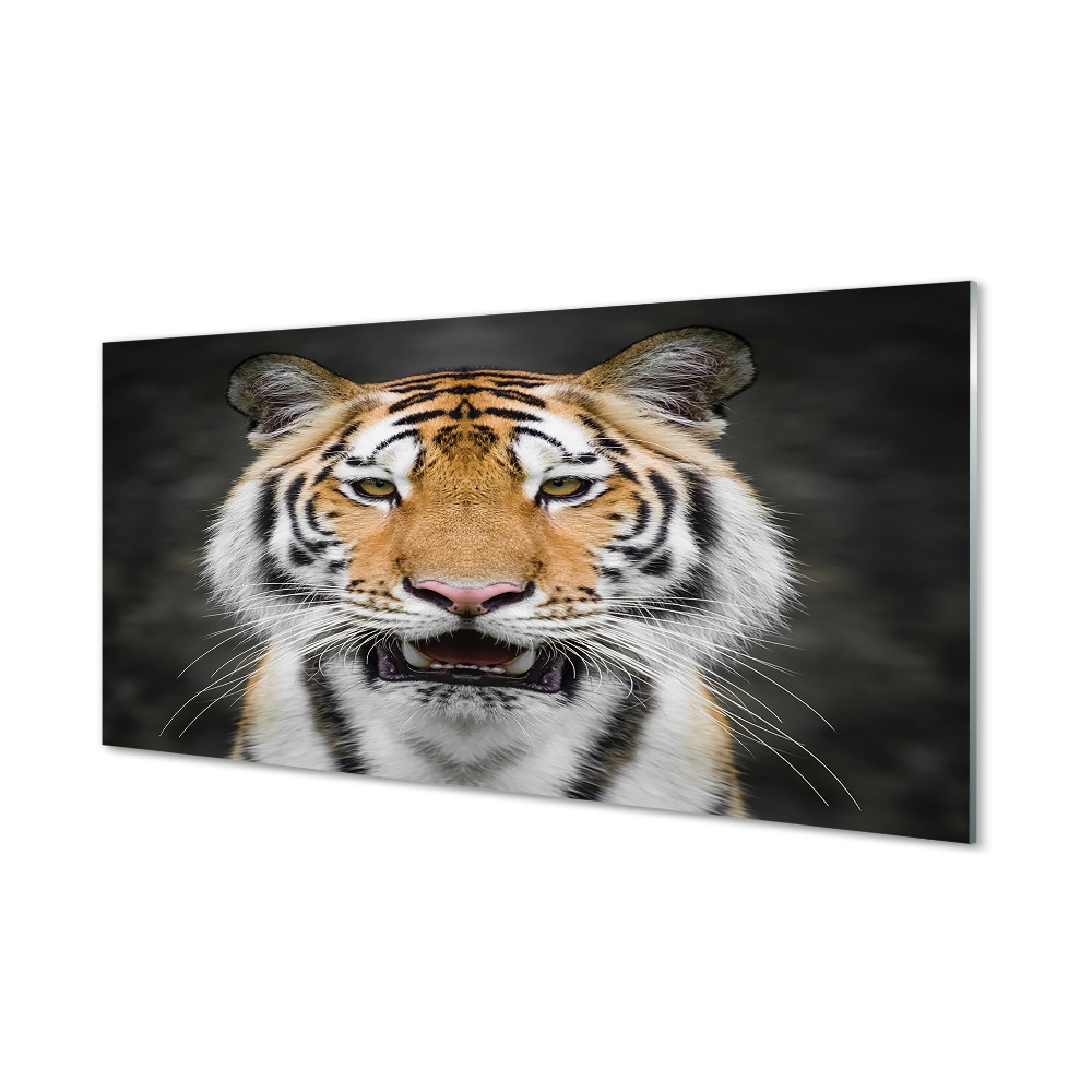 Obraz na szkle Tygrys pomarańczowe oczy