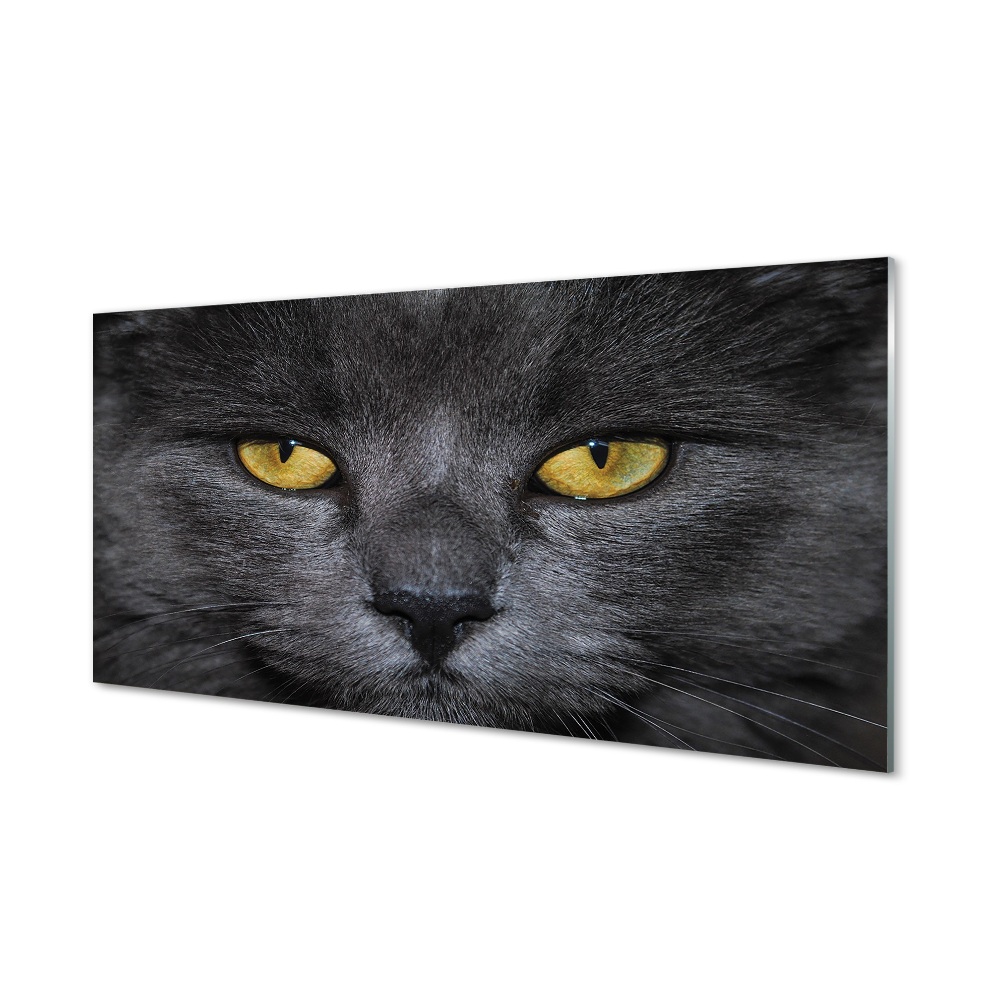 Obraz na szkle Czarny kot żółte oczy