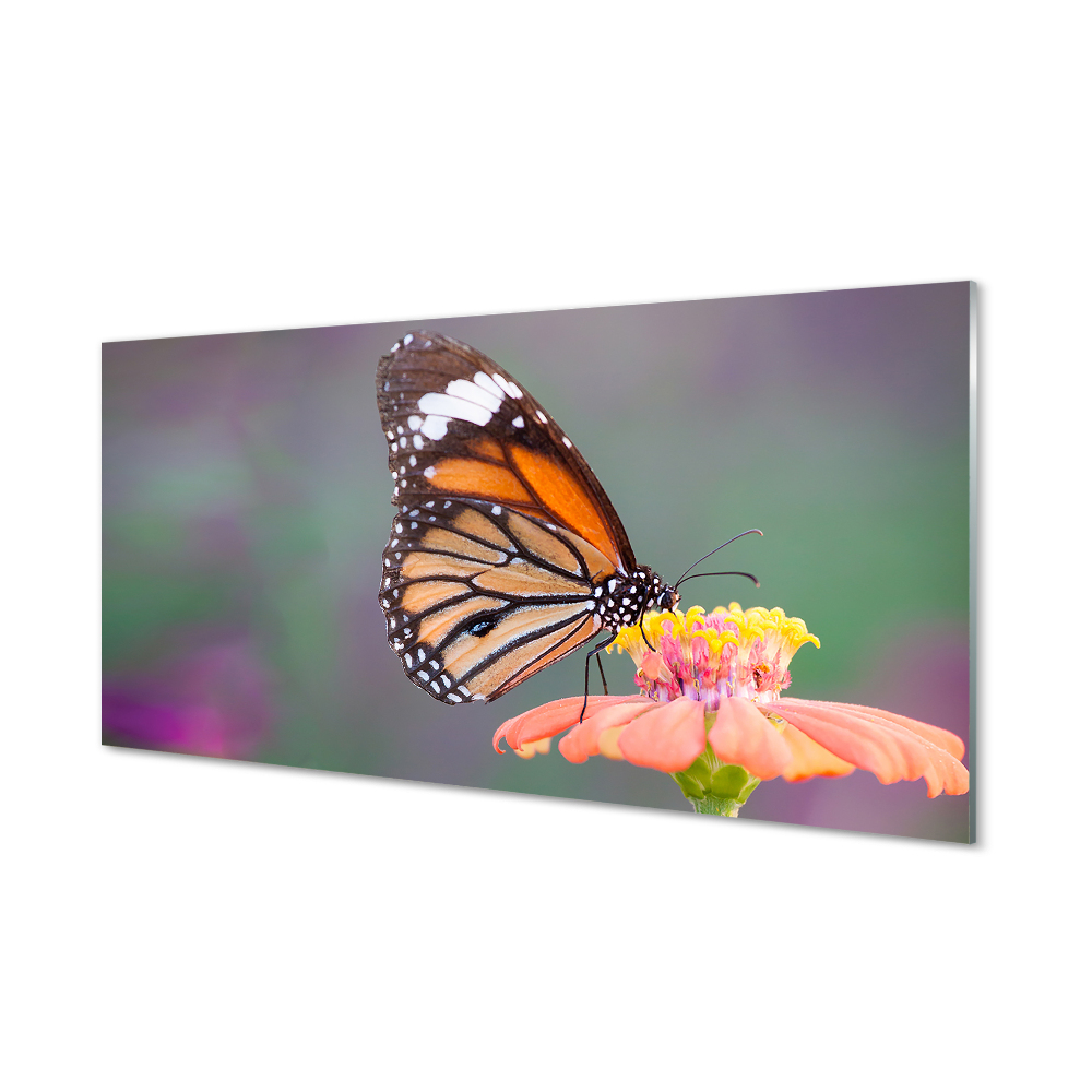 Obraz na szkle Pomarańczowy motyl kwiat