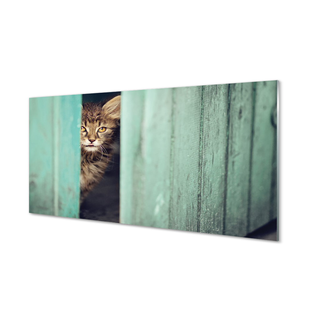 Obraz na szkle Kot zaglądający przez drzwi