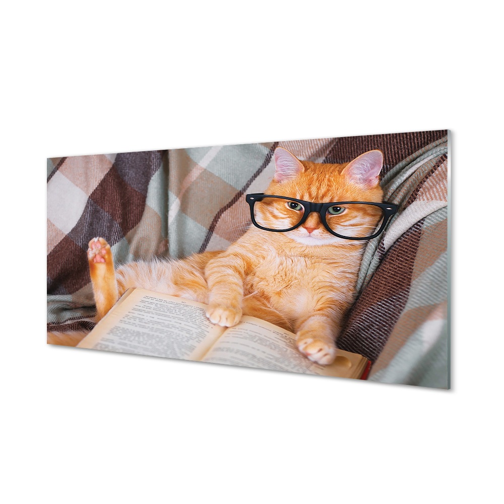 Obraz na szkle Czytający kot w okularach