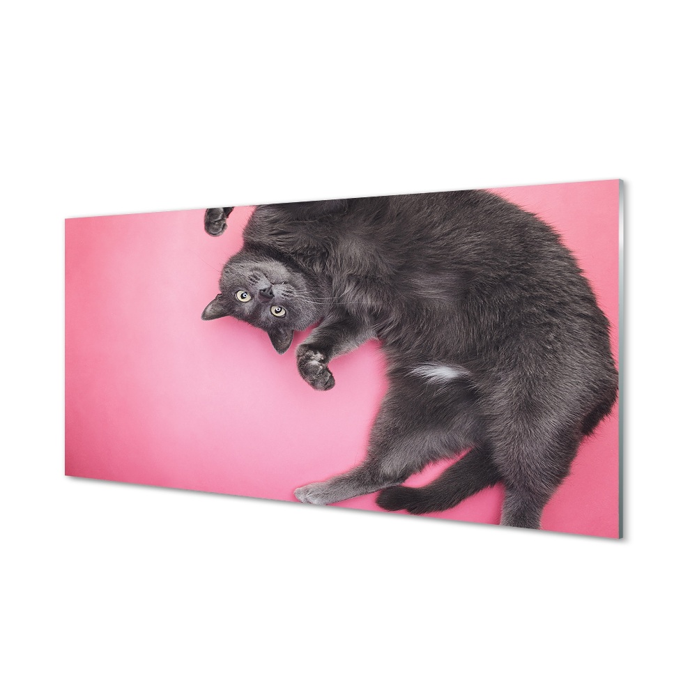Obraz na szkle Leżący kot na różowym tle