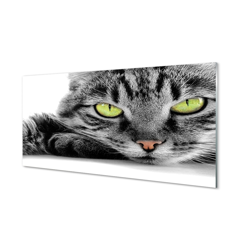 Obraz na szkle Szaro-czarny kot zielone oczy