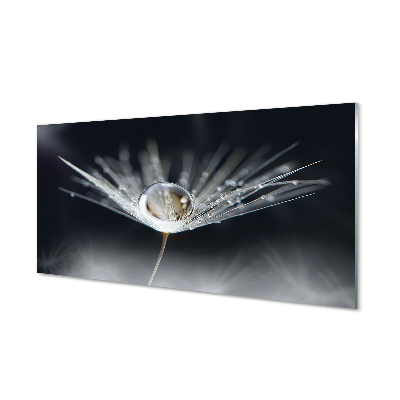 Obraz na szkle Kropla dmuchawiec makro czarne tło