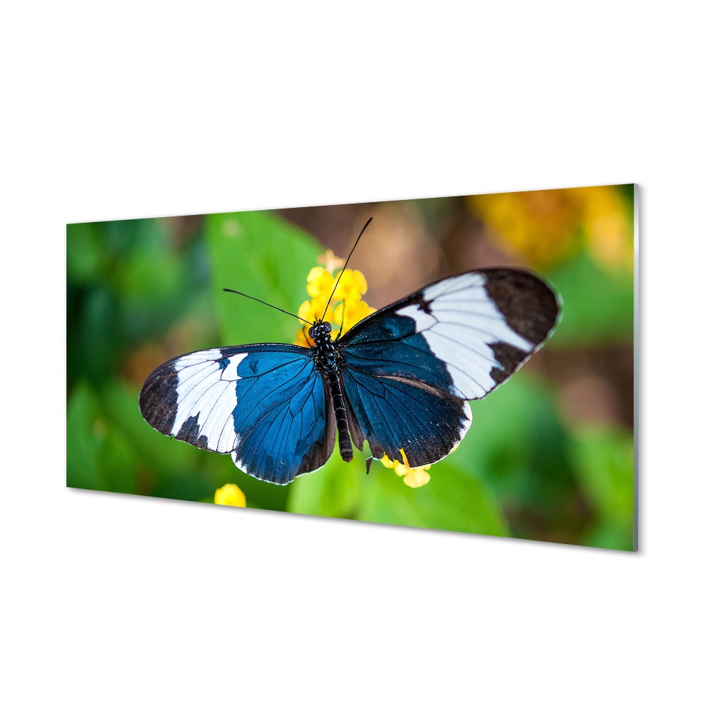 Obraz na szkle Niebieski motyl na kwiatach