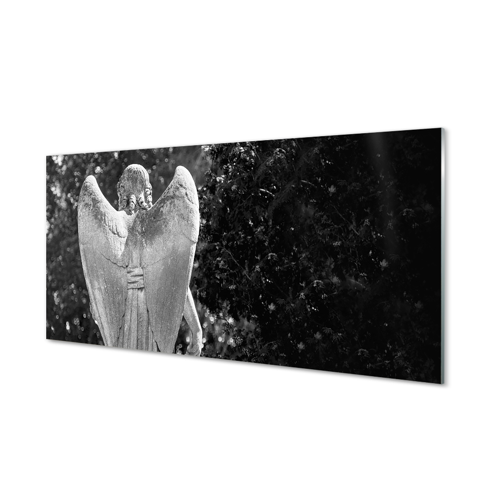 Obraz na szkle Czarno-biały anioł