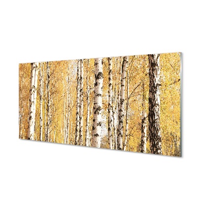 Obraz na szkle Jesień Brzozy drzewa