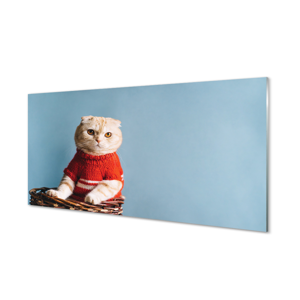 Obraz na szkle Siedzący kot w czerwonym sweterku