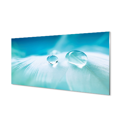 Obraz na szkle Krople wody na piórku