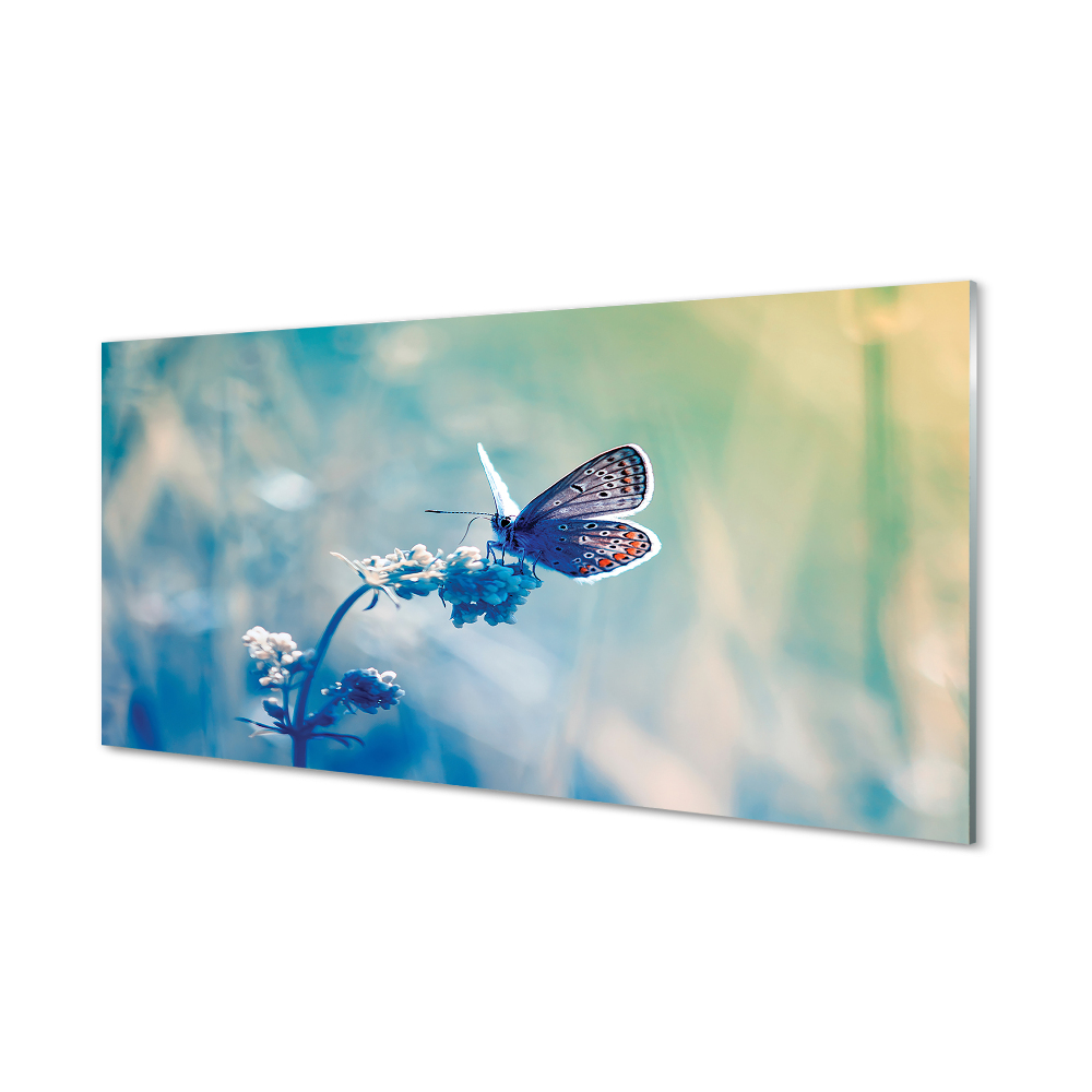 Obraz na szkle Kolorowy motyl Niebieski