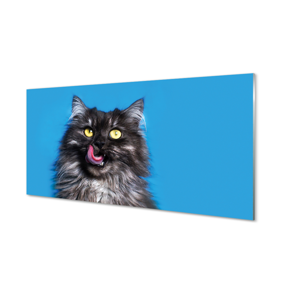 Obraz na szkle Oblizujący się kot na niebieskim tle