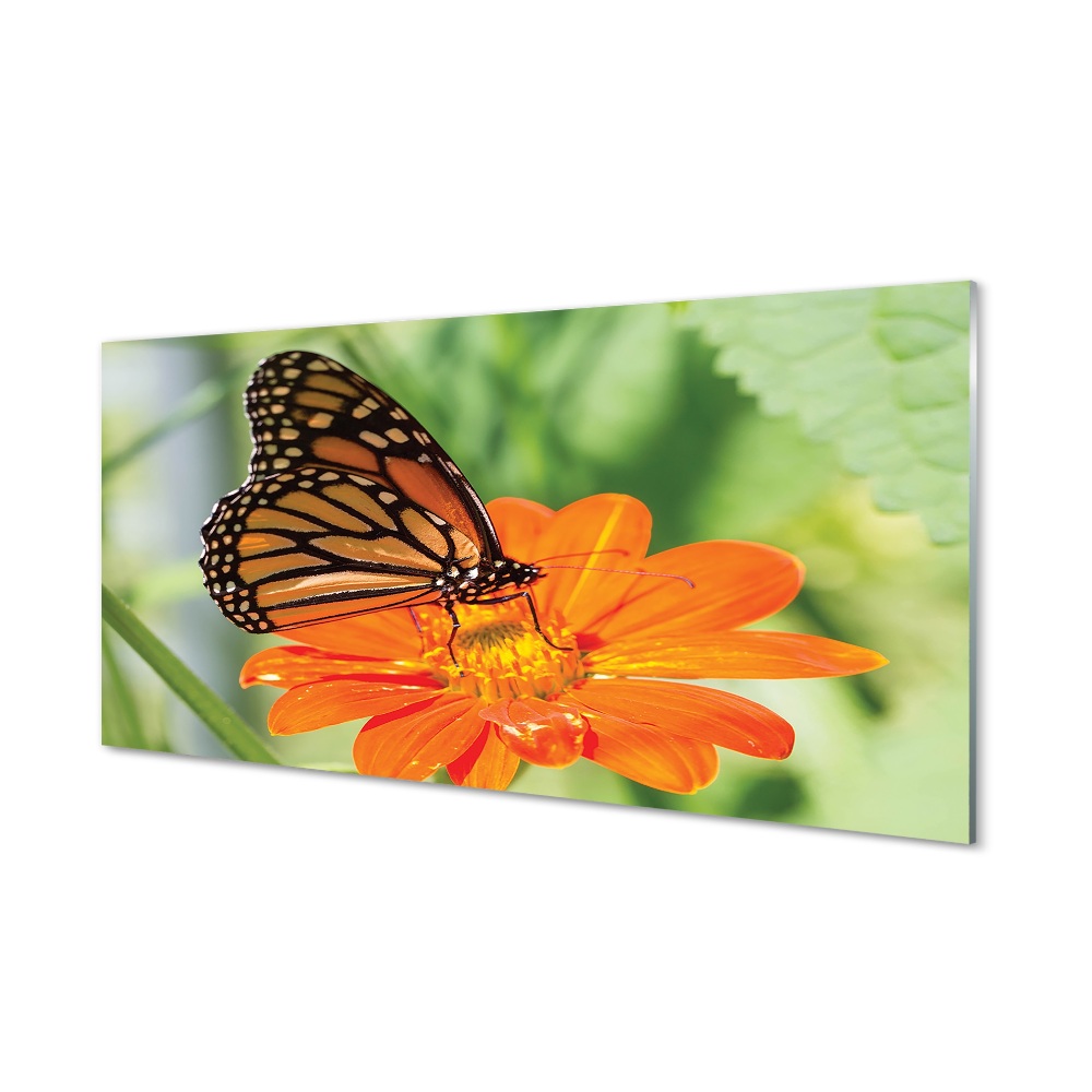 Obraz na szkle Pomarańczowy kwiat kolorowy motyl