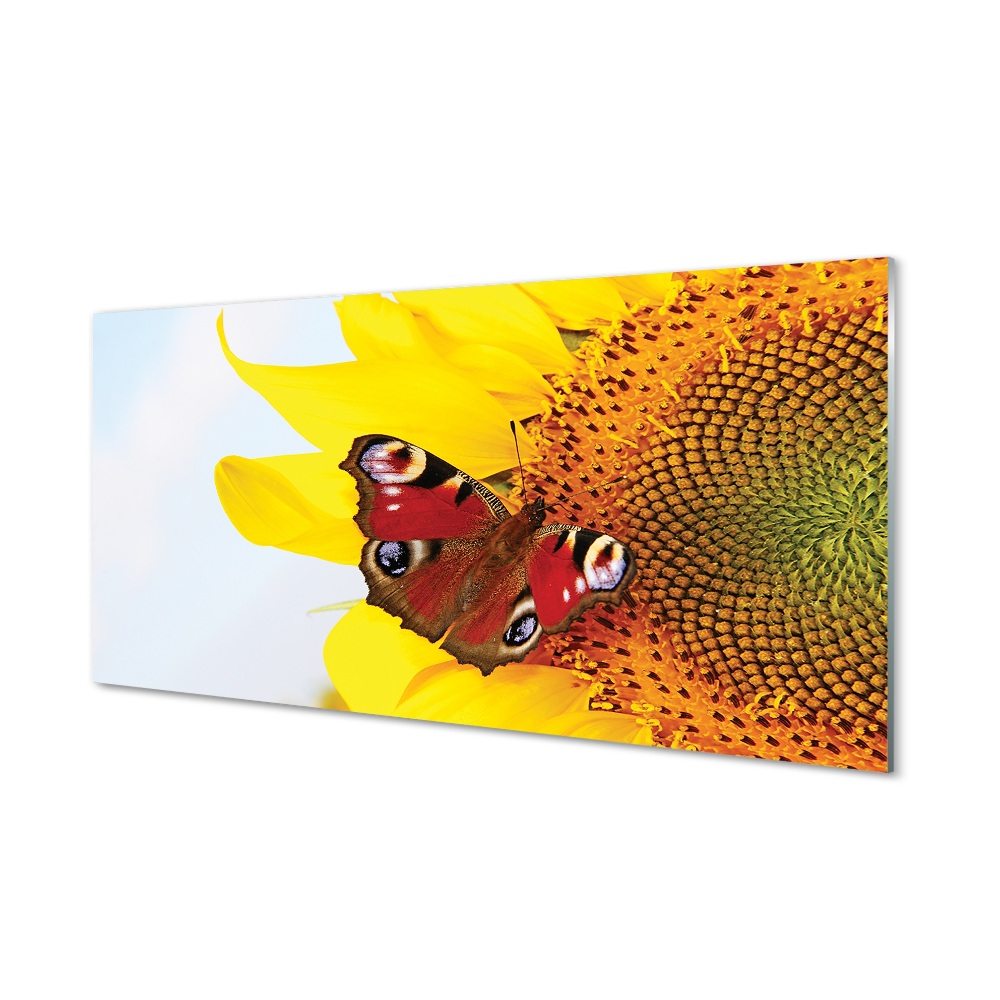 Obraz na szkle Słonecznik motyl Paź królowej