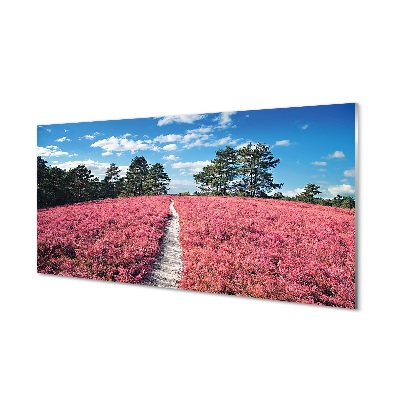 Obraz na szkle Ścieżka przez pola wrzosów