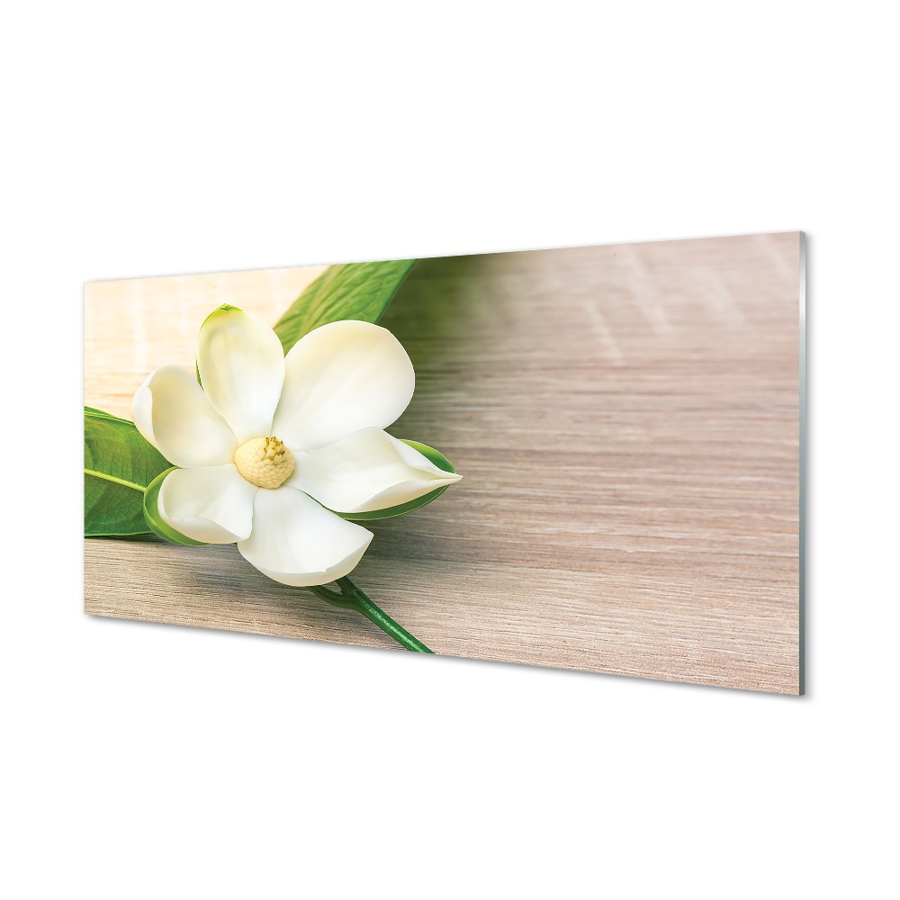 Obraz na szkle Biała magnolia na desce