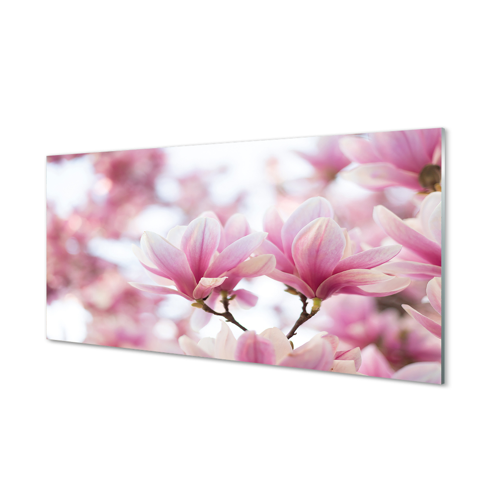 Obraz na szkle Jasno-różowe kwiaty magnolii tło