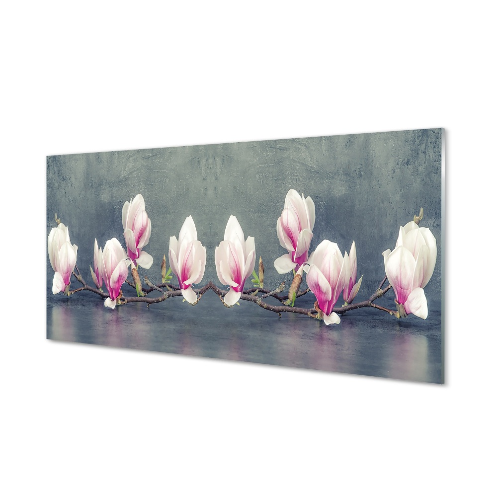 Obraz na szkle Gałąź kwiatów magnolii
