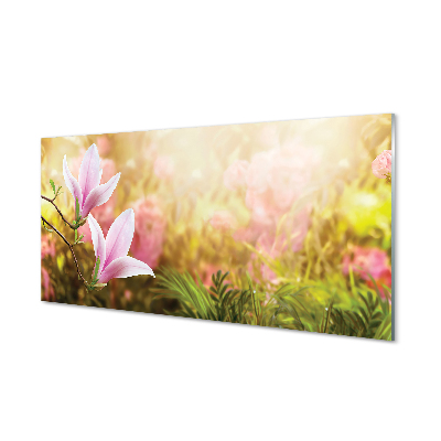 Obraz na szkle Kwiaty na słonecznej