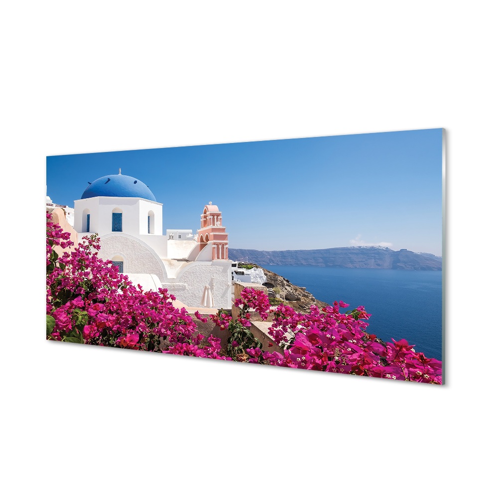 Obraz na szkle Grecja Santorini kwiaty morze