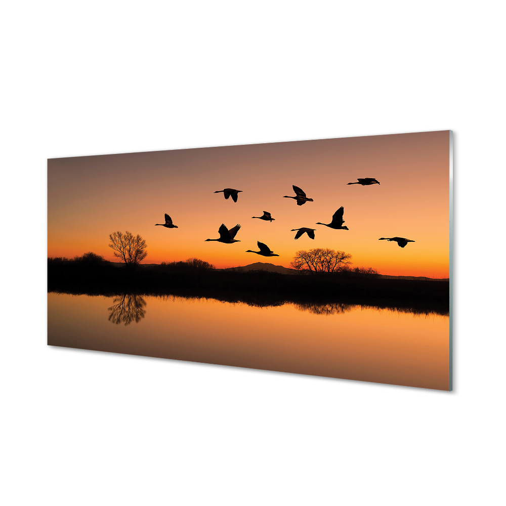 Obraz na szkle Zachód słońca lecące ptaki