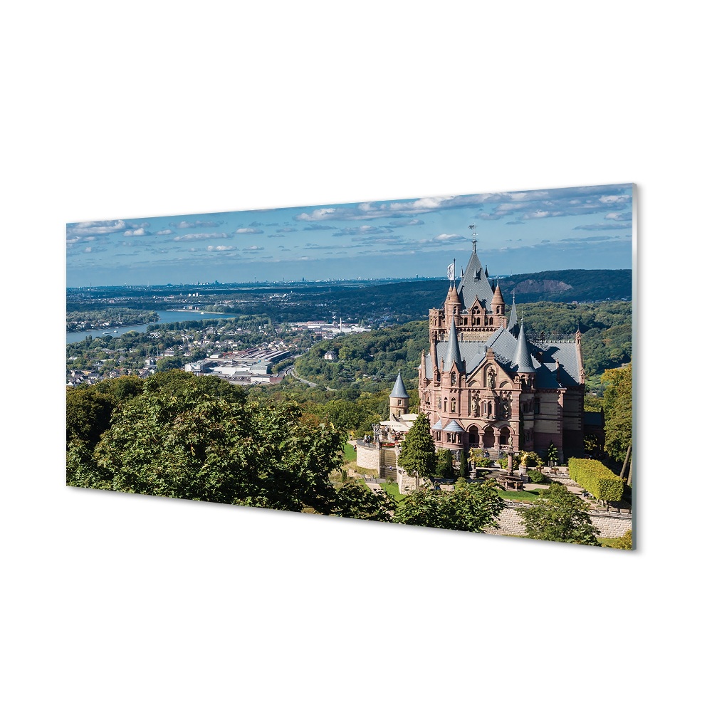 Obraz na szkle Niemcy Zamek panorama miasta