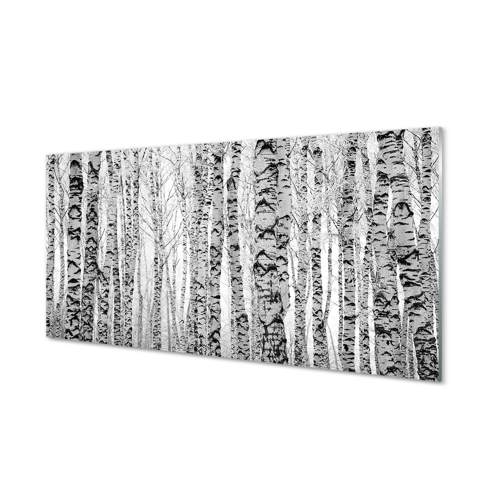 Obraz na szkle Czarno-białe brzozy drzewka