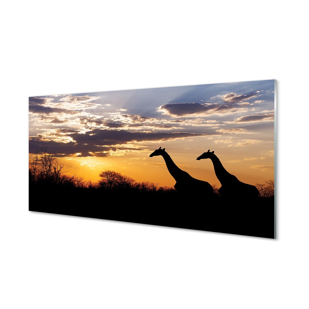 Obraz na szkle Dwie żyrafy drzewa chmury