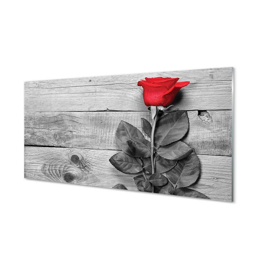 Obraz na szkle Czarno-białe deski czerwona róża