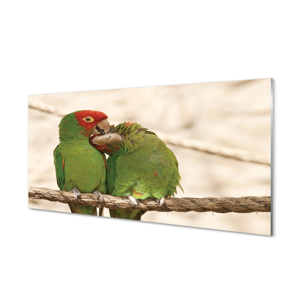 Obraz na szkle Dwie zielone papugi