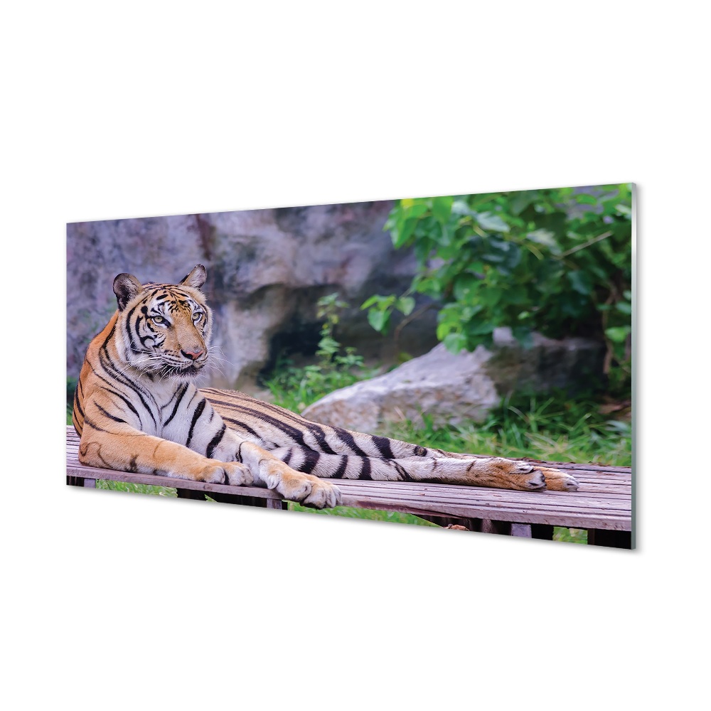 Obraz na szkle Tygrys przy skale w zoo