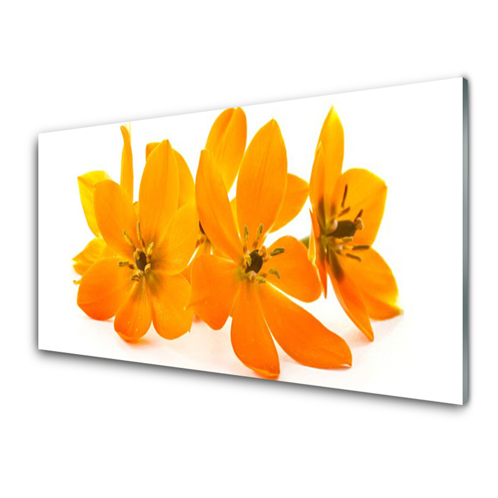 Obraz na Szkle Pomarańczowe Kwiaty