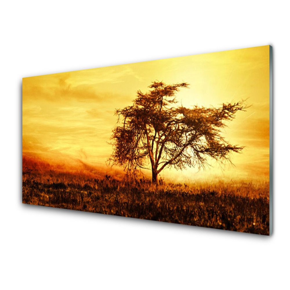 Obraz na Szkle Drzewo Przyroda Zachód słońca