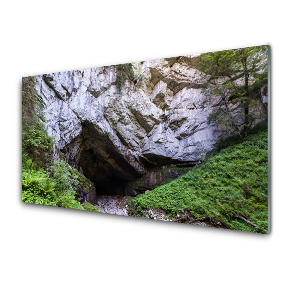 Obraz na Szkle Góra Jaskinia Rośliny