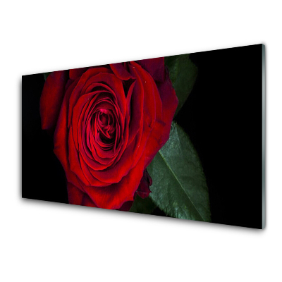 Obraz na Szkle Czerwona Róża