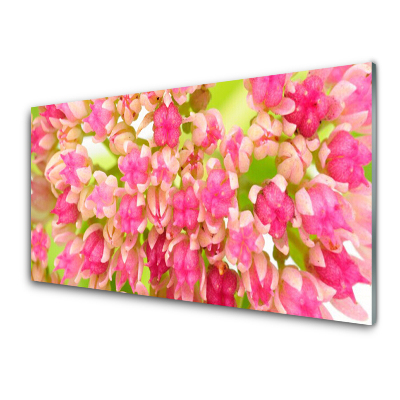 Obraz na Szkle Kwiat Lotosu pąki