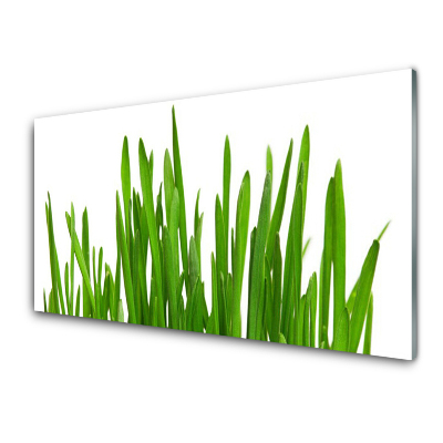 Obraz na Szkle Trawa Na Ścianę