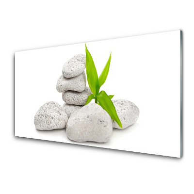 Obraz na Szkle Kamienie Roślina