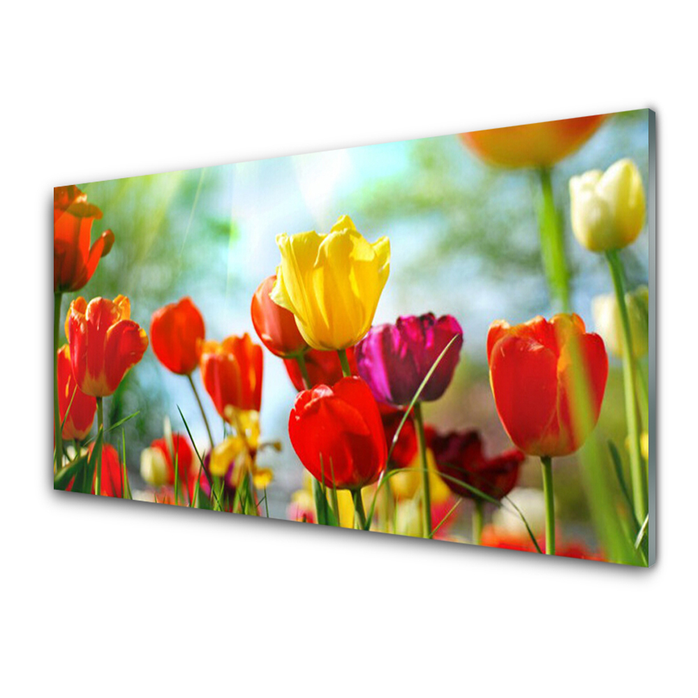 Obraz na Szkle Kolorowe Tulipany