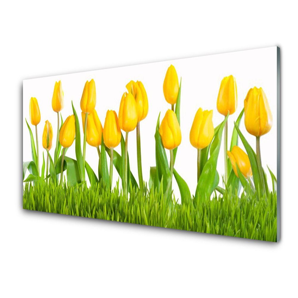 Obraz na Szkle Żółte Tulipany Trawa